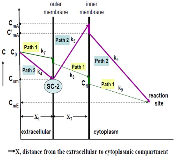 Figure 9