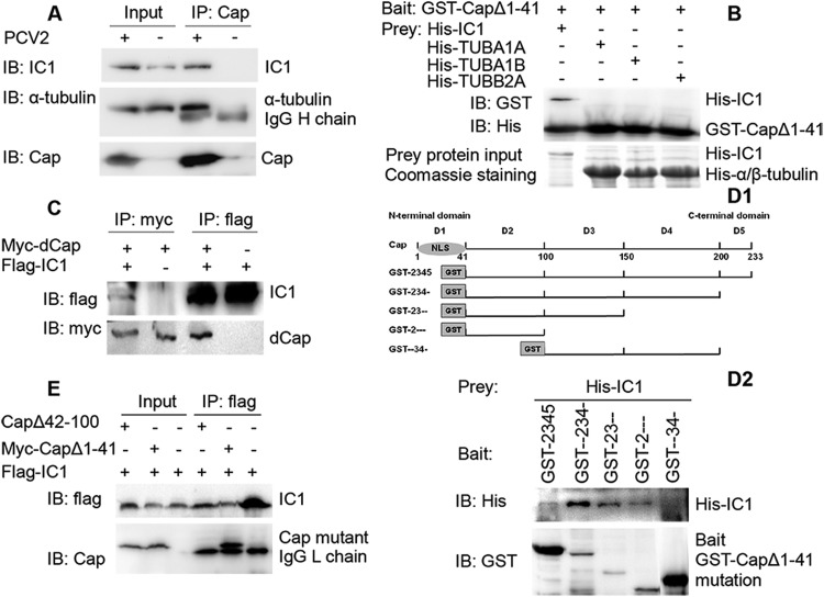 FIG 6