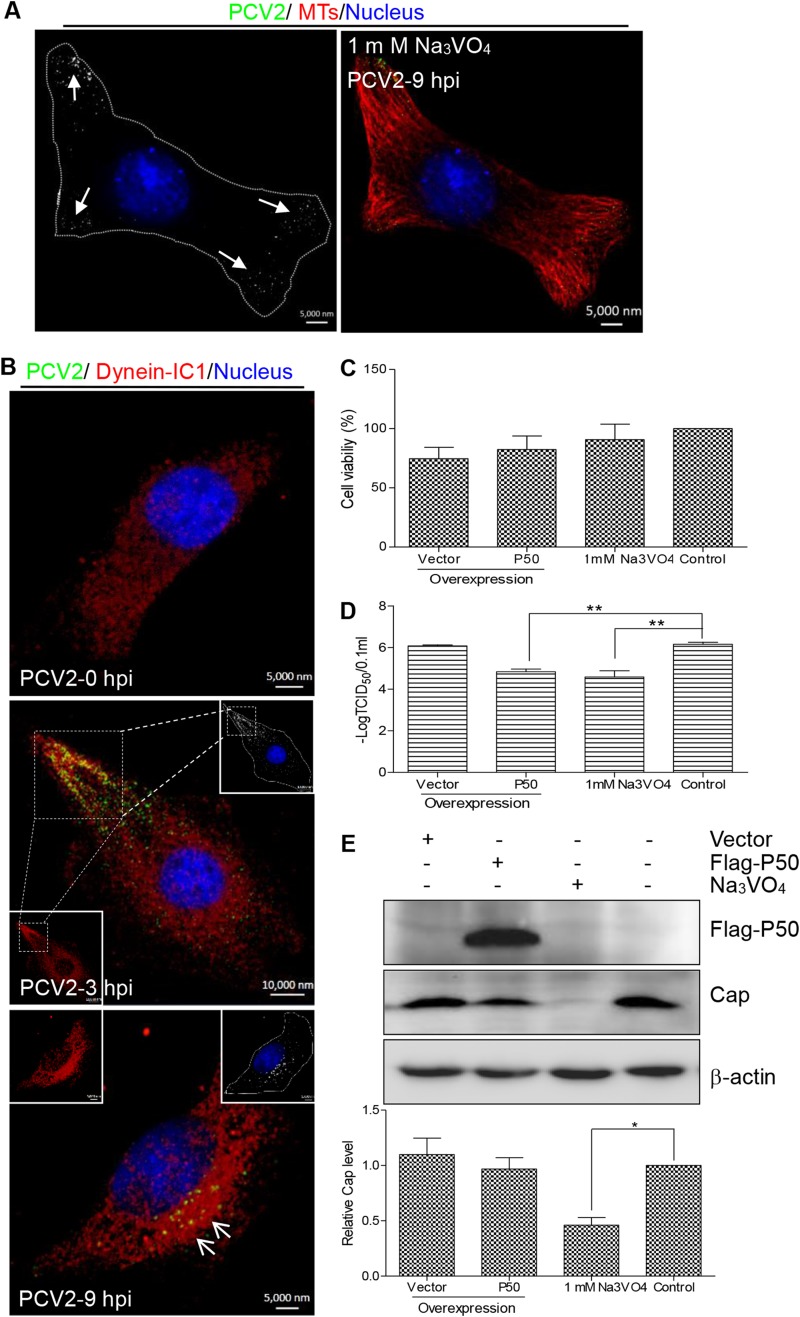 FIG 4