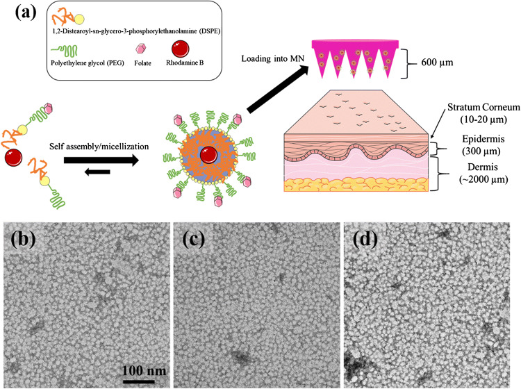 Figure 3