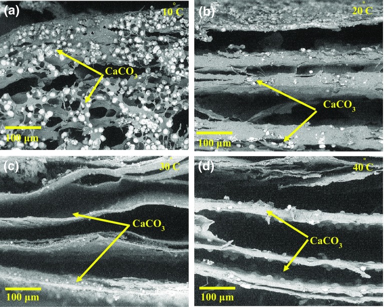 Fig. 9