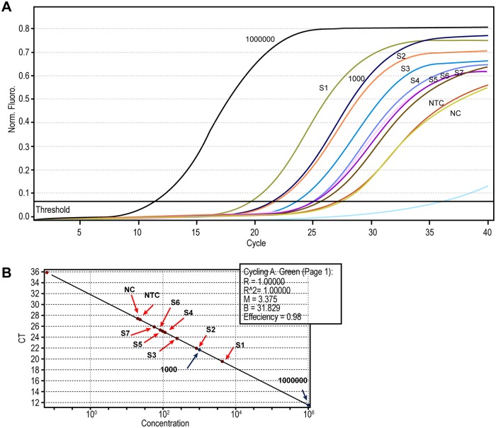 Fig 4