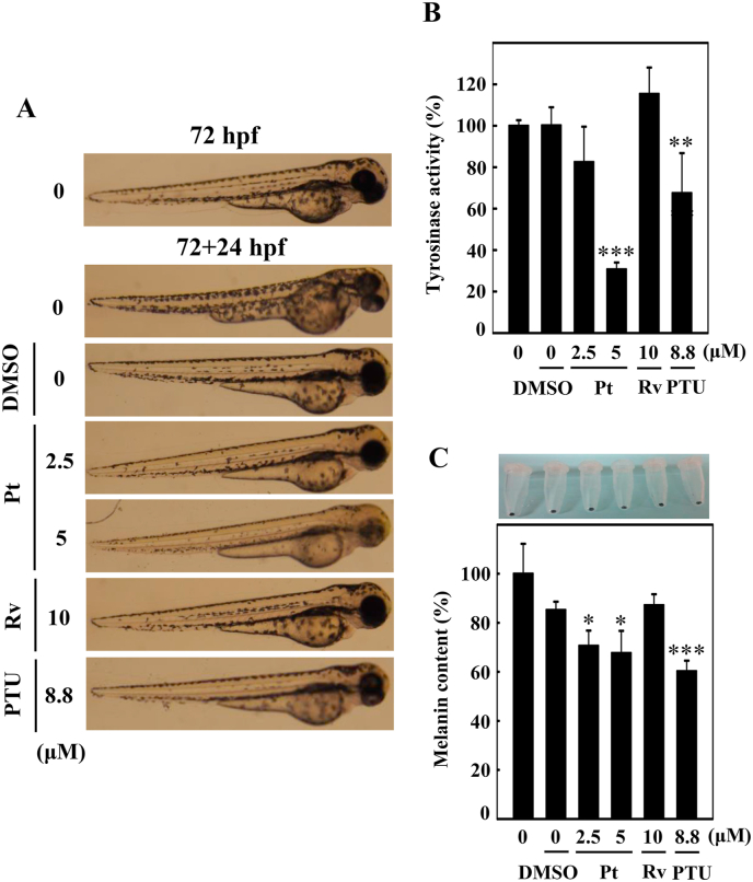 Fig. 14