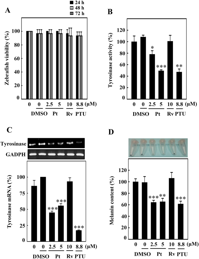 Fig. 13