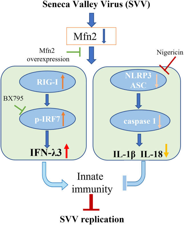 Figure 7