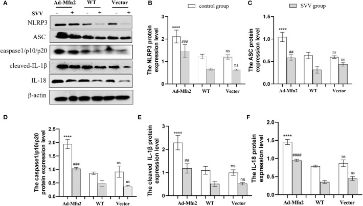 Figure 6