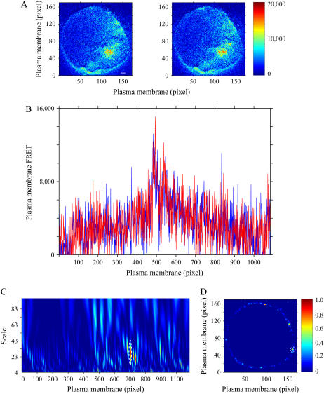 FIGURE 4