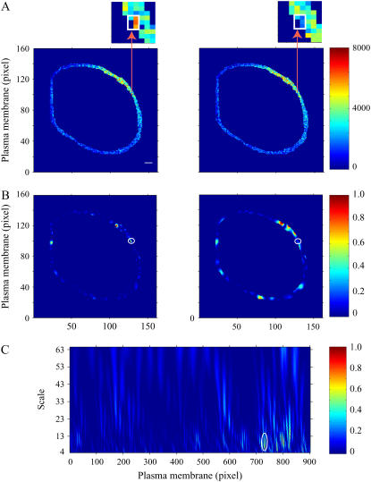 FIGURE 3