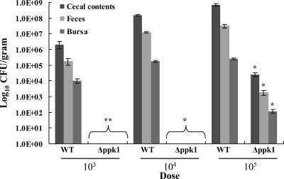 FIG. 6.