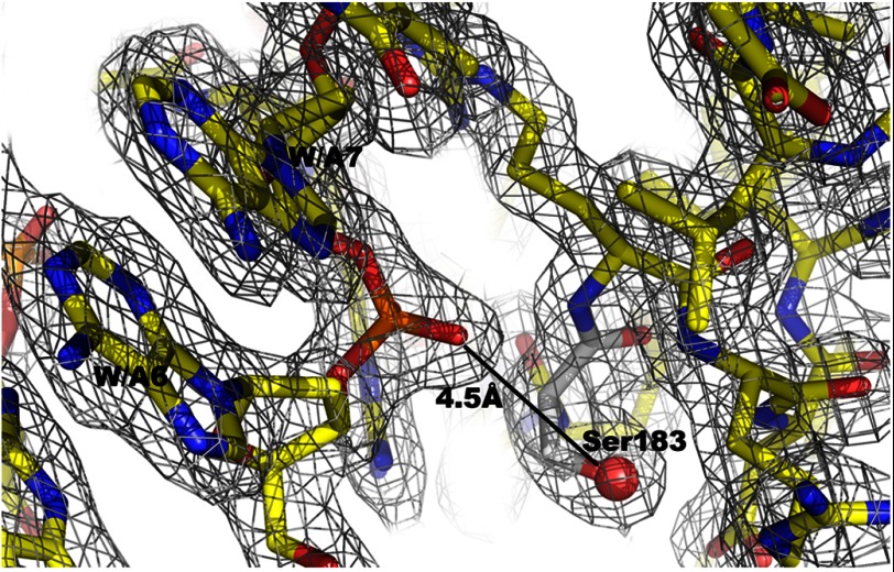 FIGURE 11.