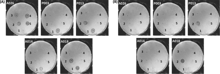 FIG 1