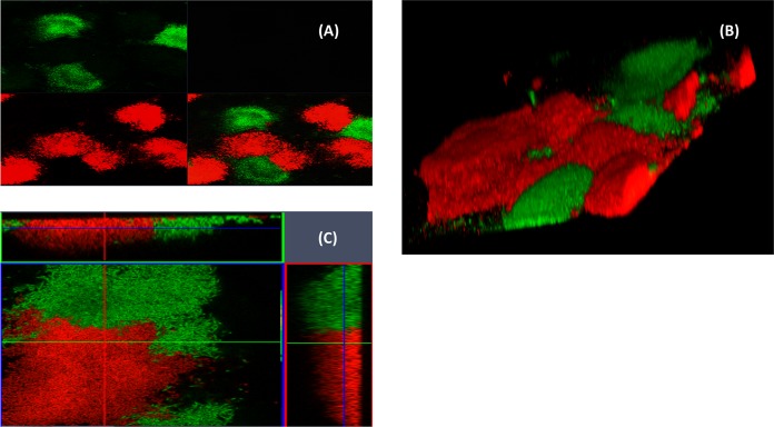 FIG 4