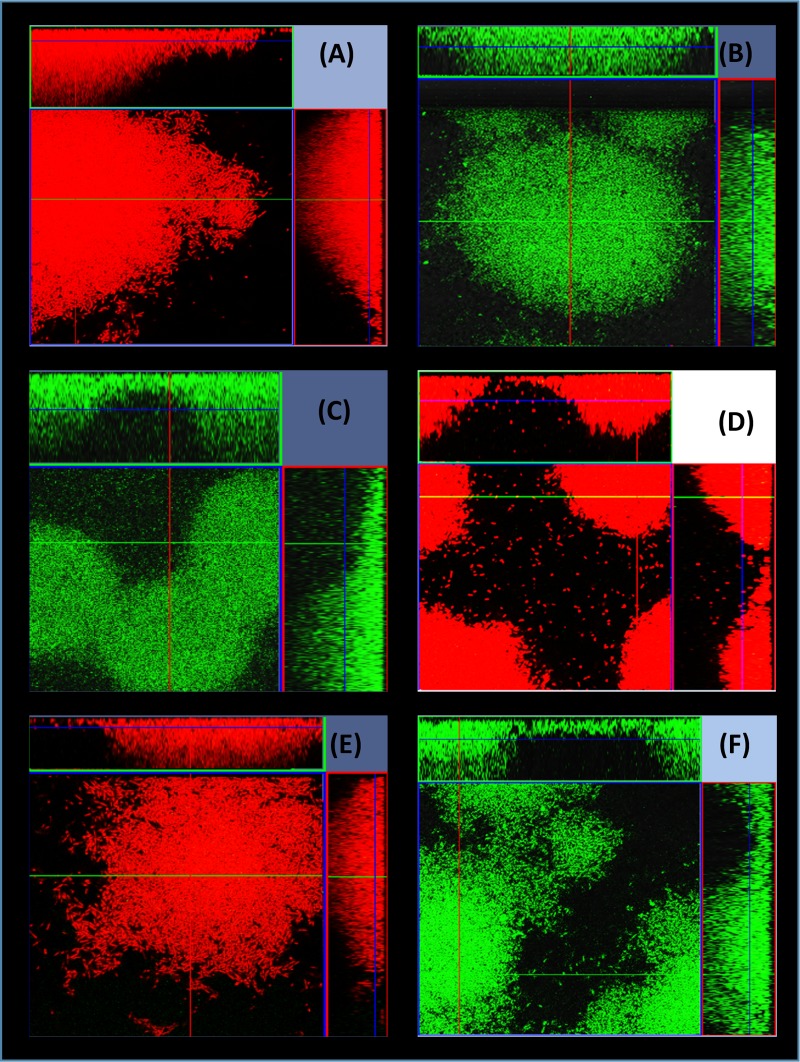 FIG 3