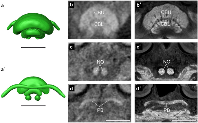 Fig. 6