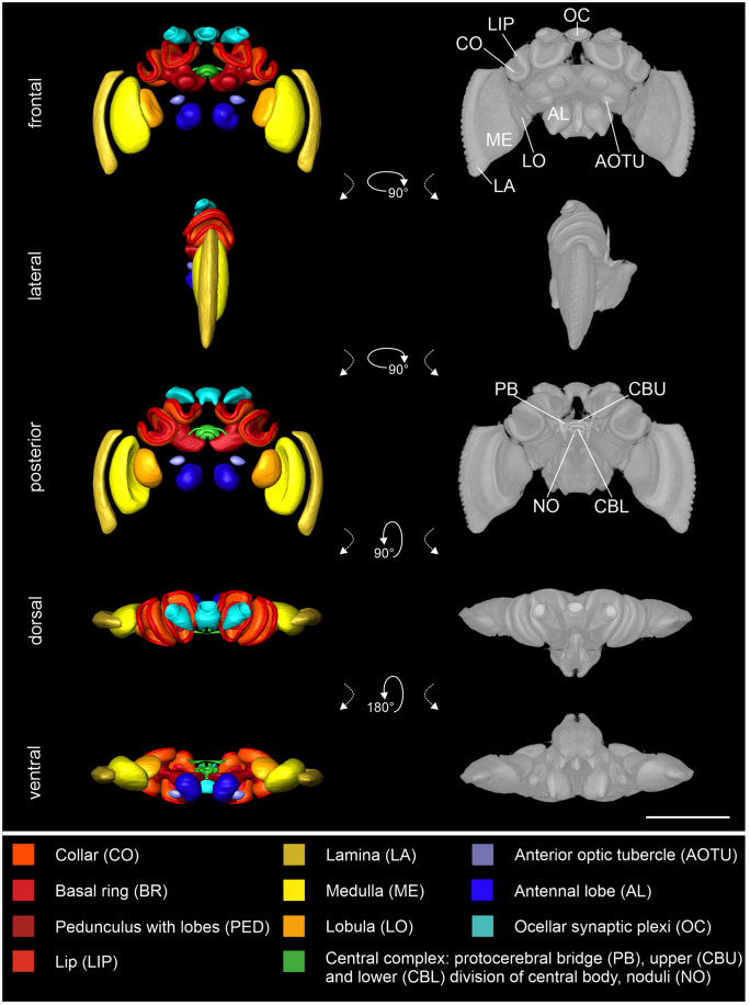 Fig. 2