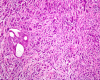 Fig. 4