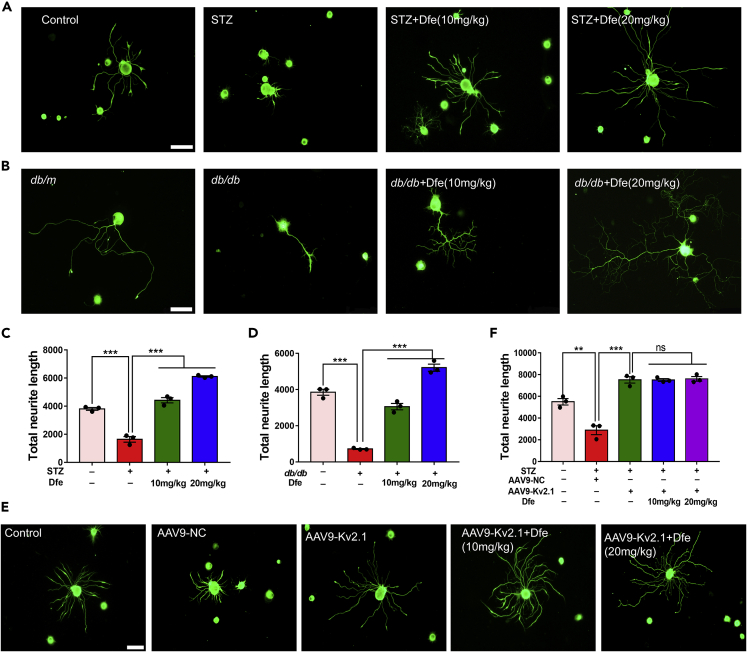 Figure 3