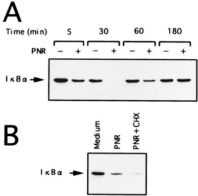 FIG. 7