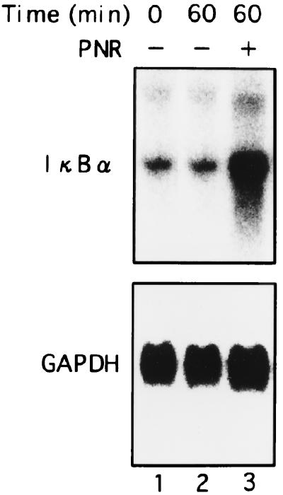 FIG. 8