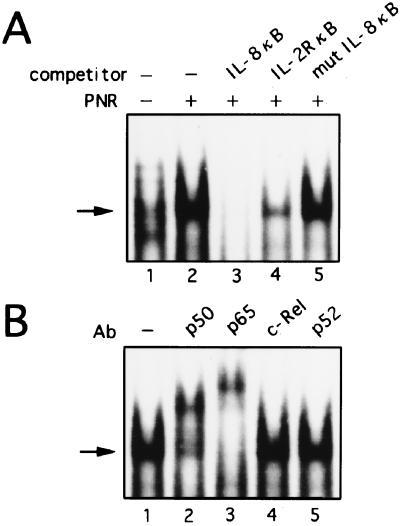 FIG. 5