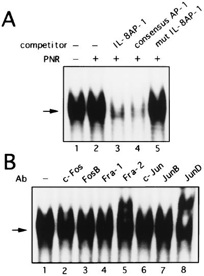 FIG. 6