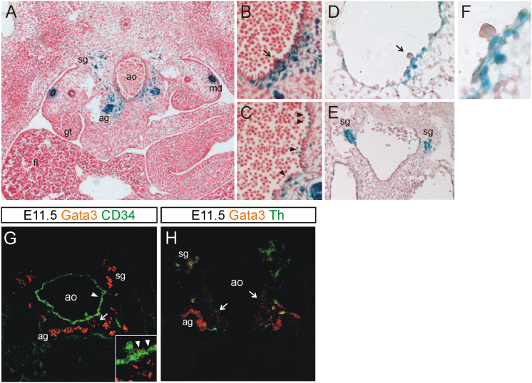 Figure 3