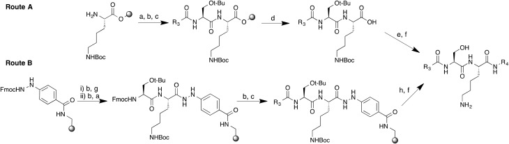 Scheme 1