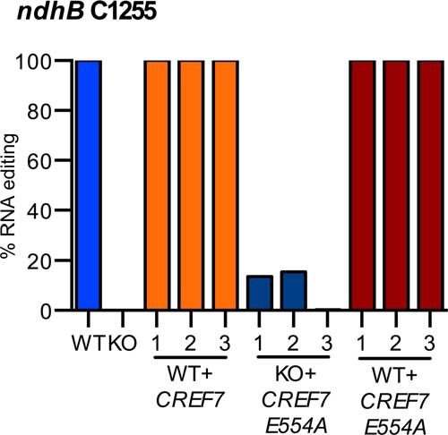 FIGURE 4.