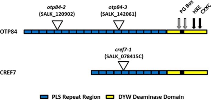 FIGURE 1.