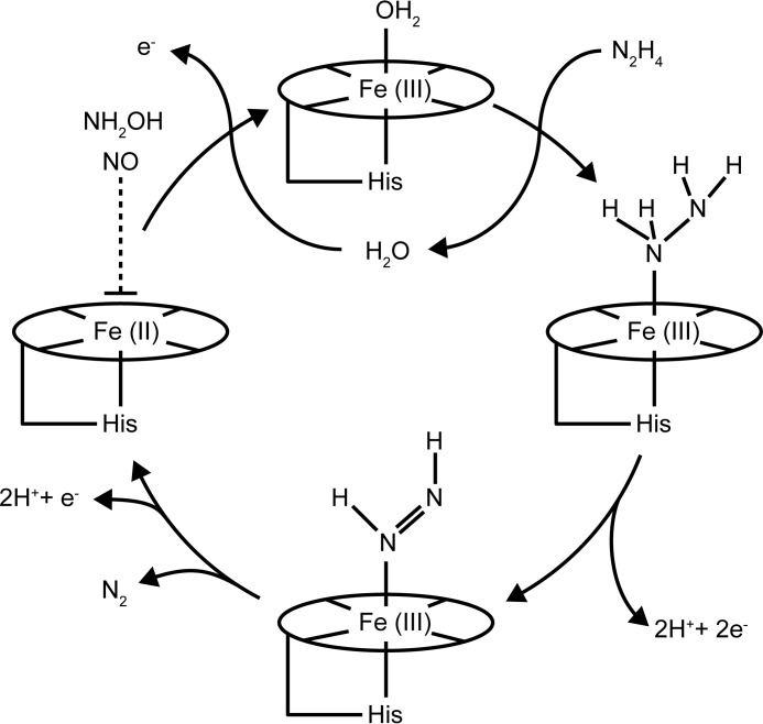 FIGURE 11.