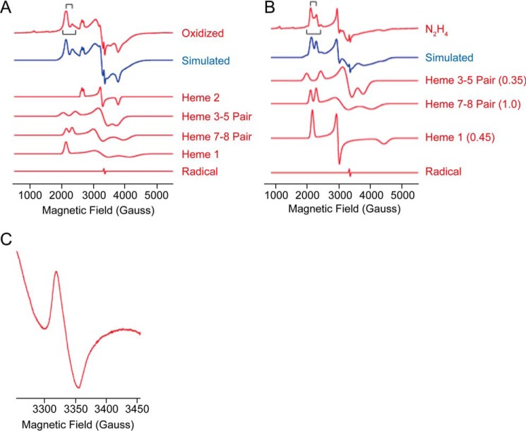 FIGURE 10.