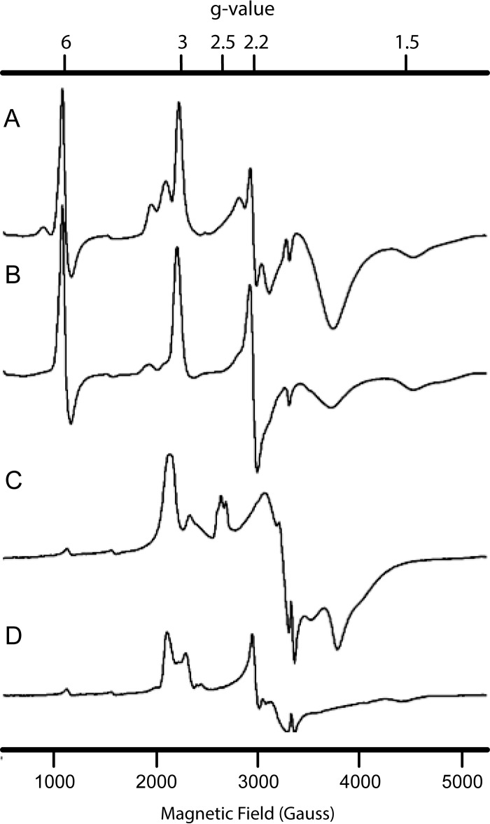 FIGURE 8.