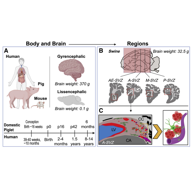 graphic file with name fx1.jpg