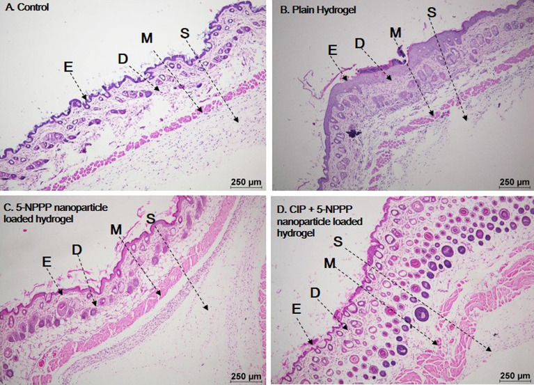 Figure 12