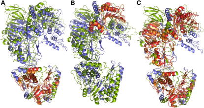 Figure 1