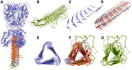 Figure 5