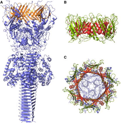 Figure 4