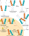 FIGURE 10.