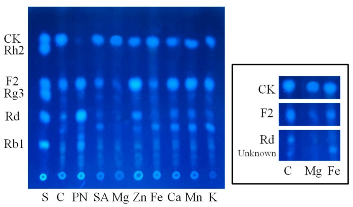 Figure 5