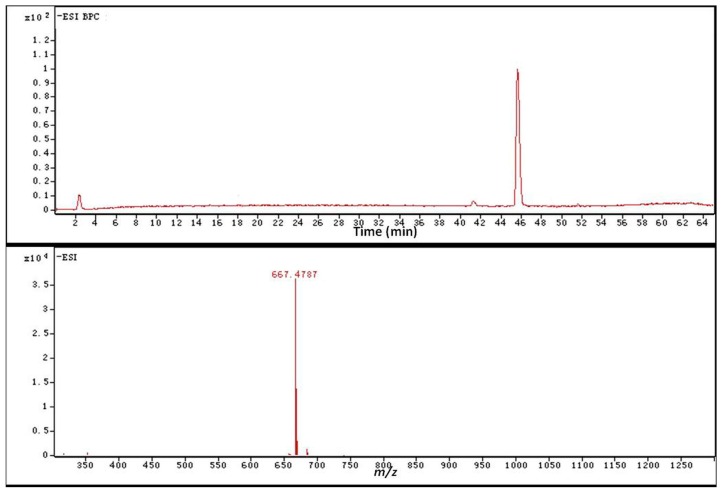 Figure 11