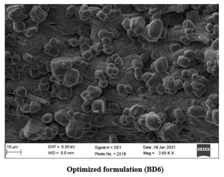 Figure 5