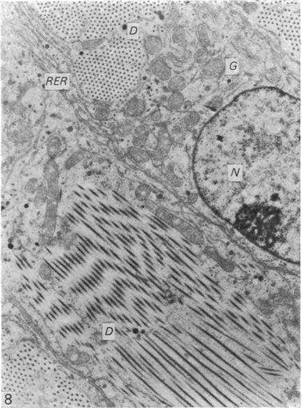 Fig. 8