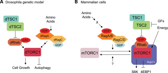 Figure 2.