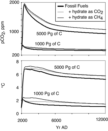 Fig. 8.