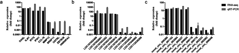 Fig. 12