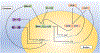 Figure 1 |