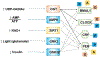 Figure 2 |