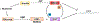 Figure 5 |