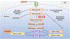 Figure 3 |