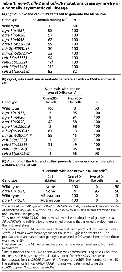 graphic file with name table005.jpg